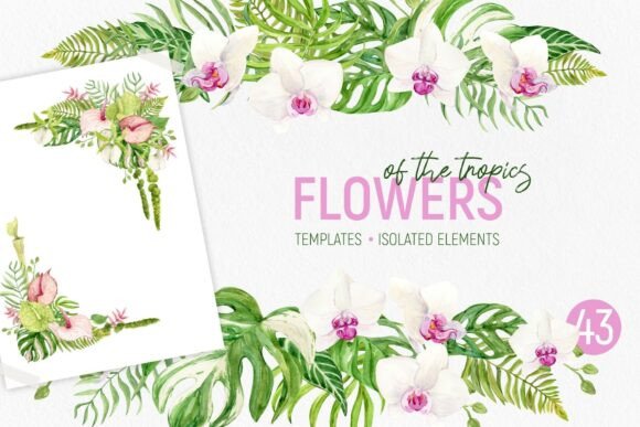 Flowers of Tropics Watercolor Templates: A Design Escape
